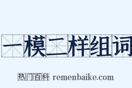 一模二样组词是什么意思的图片